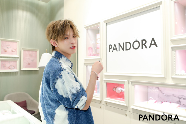 Pandora˶鱦Я֮֡½ھϣ٩ս